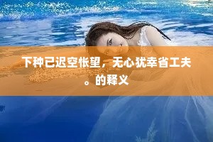 下种已迟空怅望，无心犹幸省工夫。的释义
