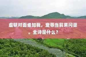 虚明对面谁知我，宠辱当前莫问渠。全诗是什么？