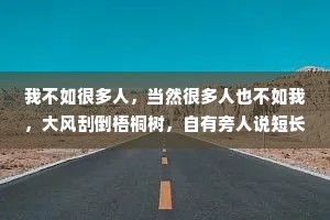 我不如很多人，当然很多人也不如我，大风刮倒梧桐树，自有旁人说短长。我做好我的，你过好你的，你不用理解我，各有各的路。