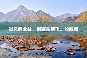 晨风鸣北林，熠耀东南飞。的解释