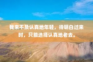 我来不及认真地年轻，待明白过来时，只能选择认真地老去。