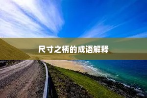 尺寸之柄的成语解释