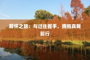 释怀之旅：与过往握手，拥抱真我前行