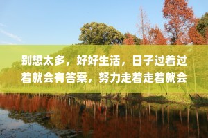 别想太多，好好生活，日子过着过着就会有答案，努力走着走着就会有温柔的着落。