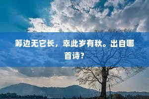 筹边无它长，幸此岁有秋。出自哪首诗？