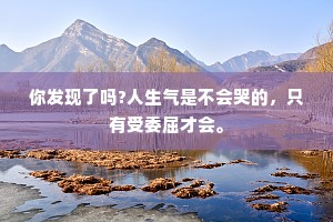 你发现了吗?人生气是不会哭的，只有受委屈才会。