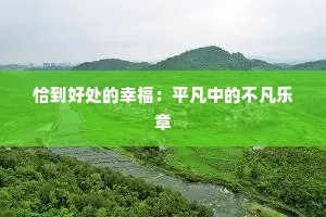 恰到好处的幸福：平凡中的不凡乐章