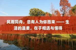 风雨同舟，总有人为你而来 —— 生活的温柔，在于相遇与懂得