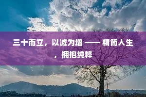 三十而立，以减为增 —— 精简人生，拥抱纯粹