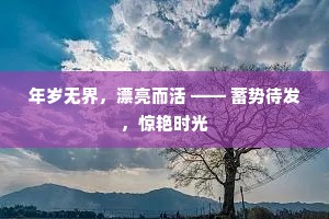 年岁无界，漂亮而活 —— 蓄势待发，惊艳时光
