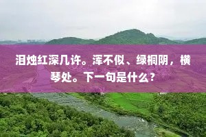 泪烛红深几许。浑不似、绿桐阴，横琴处。下一句是什么？