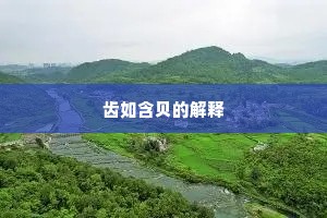 齿如含贝的解释