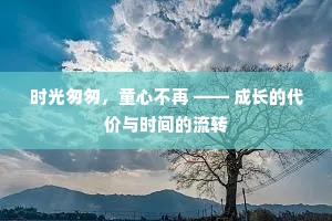 时光匆匆，童心不再 —— 成长的代价与时间的流转