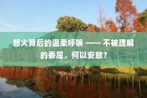 怒火背后的温柔呼唤 —— 不被理解的委屈，何以安放？