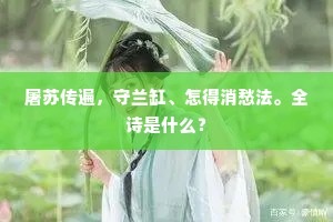 屠苏传遍，守兰缸、怎得消愁法。全诗是什么？
