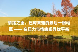 情绪之重，压垮英雄的最后一根稻草 —— 在压力与情绪间寻找平衡