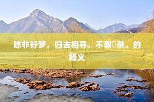 除非好梦，归去相寻，不教閒杀。的释义