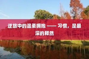 逆旅中的温柔拥抱 —— 习惯，是最深的释然