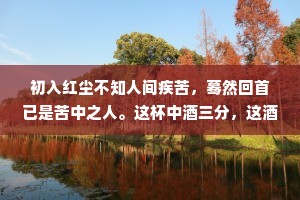 初入红尘不知人间疾苦，蓦然回首已是苦中之人。这杯中酒三分，这酒中悲七分。关关难过关关过，夜夜难熬夜夜熬。