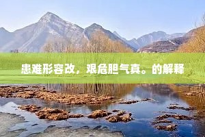 患难形容改，艰危胆气真。的解释