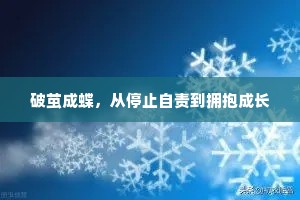 破茧成蝶，从停止自责到拥抱成长