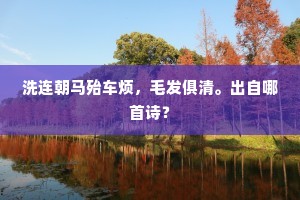 洗连朝马殆车烦，毛发俱清。出自哪首诗？