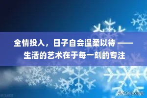 全情投入，日子自会温柔以待 —— 生活的艺术在于每一刻的专注