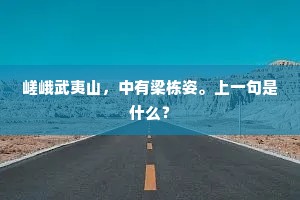 嵯峨武夷山，中有梁栋姿。上一句是什么？