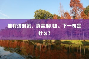 袖有济时策，真言琅玕披。下一句是什么？