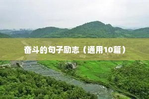奋斗的句子励志（通用10篇）