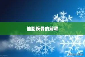 抽胎换骨的解释
