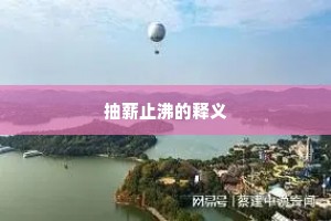抽薪止沸的释义