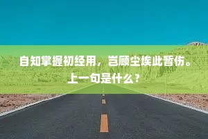 自知掌握初经用，岂顾尘埃此暂伤。上一句是什么？