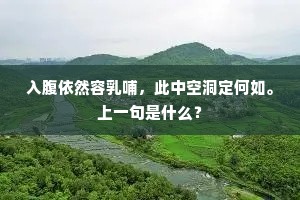 入腹依然容乳哺，此中空洞定何如。上一句是什么？