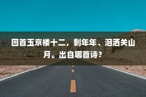 回首玉京楼十二，剩年年、泪洒关山月。出自哪首诗？