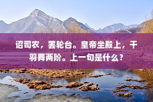 诏司农，罢轮台。皇帝坐殿上，干羽舞两阶。上一句是什么？