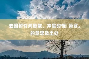 去国暂怜鸿影散，冲星时怪鸊膏寒。的意思及出处