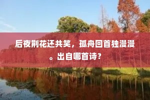 后夜荆花还共笑，孤舟回首独漫漫。出自哪首诗？