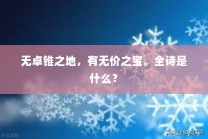 无卓锥之地，有无价之宝。全诗是什么？