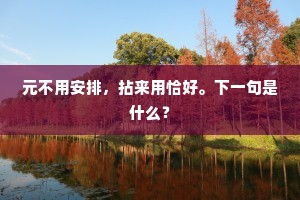 元不用安排，拈来用恰好。下一句是什么？