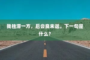 我独滞一方，后会良未谐。下一句是什么？