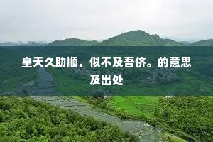 皇天久助顺，似不及吾侪。的意思及出处