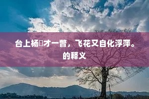 台上杨稊才一瞥，飞花又自化浮萍。的释义