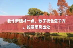收作梦魂才一点，散于夜色复千方。的意思及出处