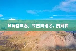 风涛自吐吞，今古向谁论。的解释