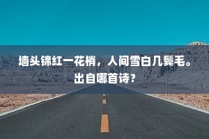 墙头锦红一花梢，人间雪白几鬓毛。出自哪首诗？