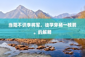 当阳不识李将军，徒学穿杨一枝箭。的解释