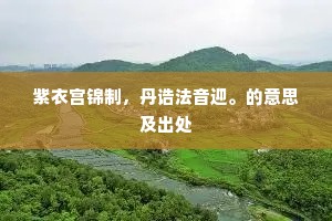 紫衣宫锦制，丹诰法音迎。的意思及出处