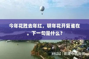 今年花胜去年红，明年花开复谁在。下一句是什么？