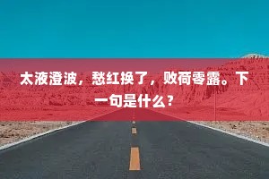 太液澄波，愁红换了，败荷零露。下一句是什么？